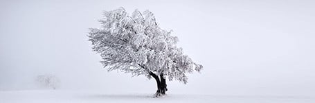 Photography in winter