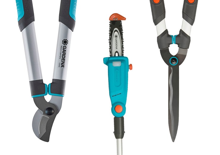 Taille des arbres & haies →