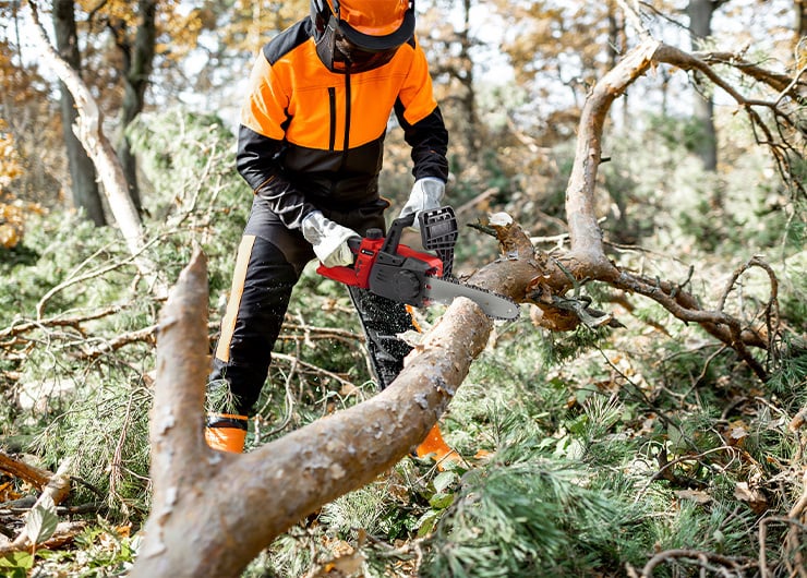EUne personne portant des vêtements de protection orange et noirs coupe un tronc d’arbre tombé avec une tronçonneuse en forêt.