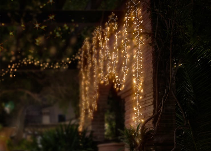 Une guirlande lumineuse sur un mur en bois dans un espace extérieur agrémenté de plantes