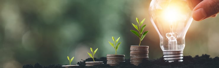 Quatre plantes en croissance émergent de piles de pièces, à côté d’une ampoule allumée plantée dans la terre – En savoir plus sur l'aménagement durable et efficace
