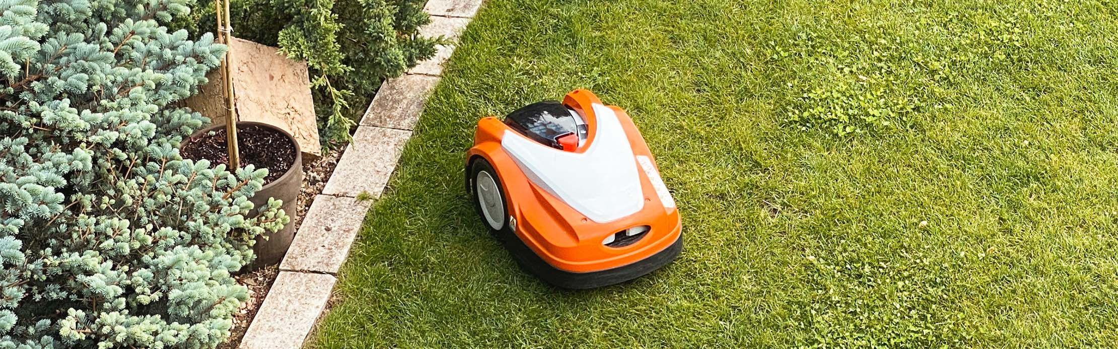 Une tondeuse robot orange et blanche roule le long d'une bordure de parterre sur une pelouse bien entretenue. 