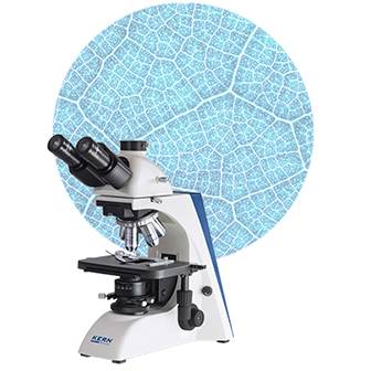 Microscopes à lumière transmise