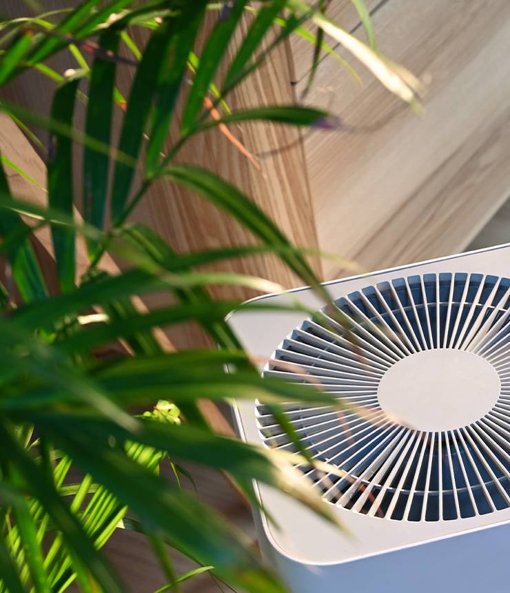 Purificateur d'air moderne à côté d'une plante d'intérieur verte.