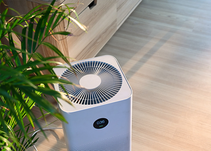 Un purificateur d'air moderne est posé sur un plancher en bois clair à côté d'une plante d'intérieur.