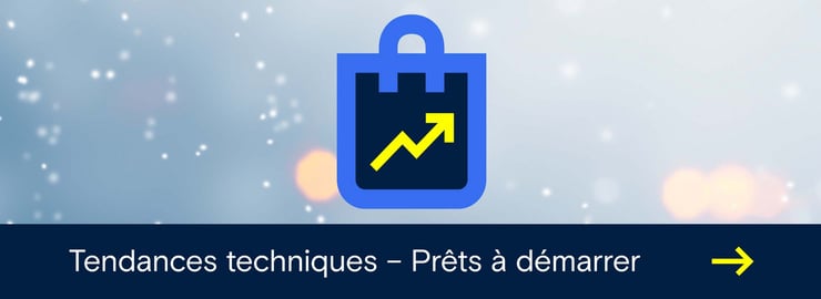 Une icône représentant un sac est posée au milieu de la neige, à côté de deux étincelles.