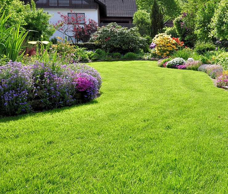 Pelouse verte bien entretenue dans un jardin fleuri avec des parterres de fleurs colorés devant une maison.