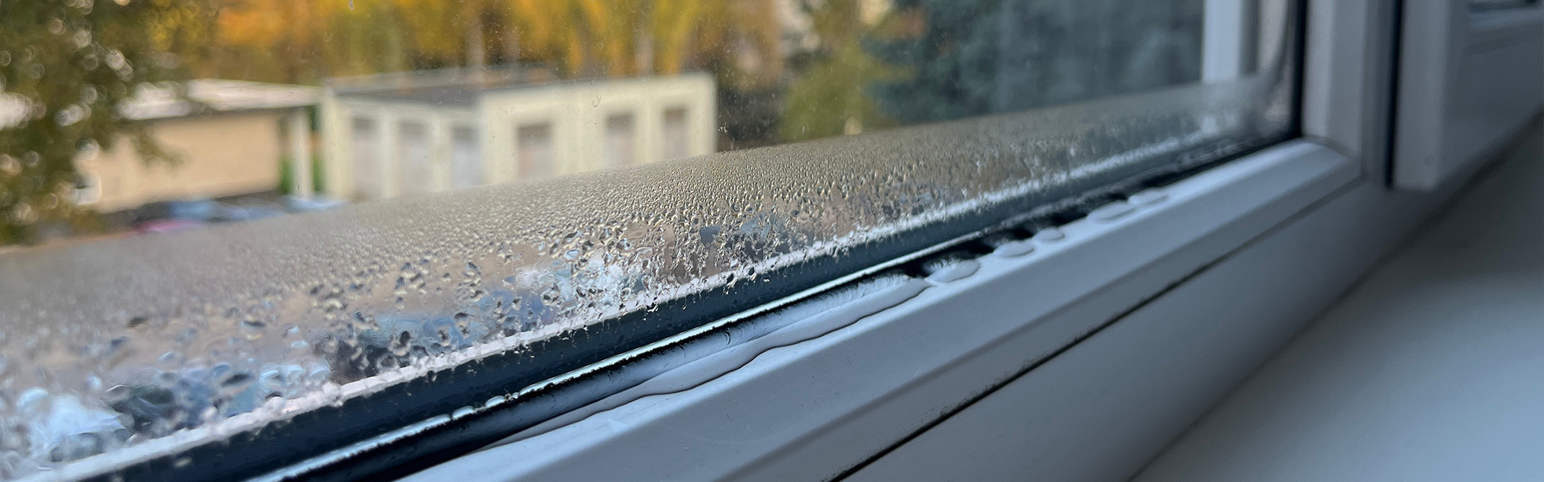 De la condensation s'accumule sur la face intérieure d'une fenêtre et sur le bas du cadre de la fenêtre.