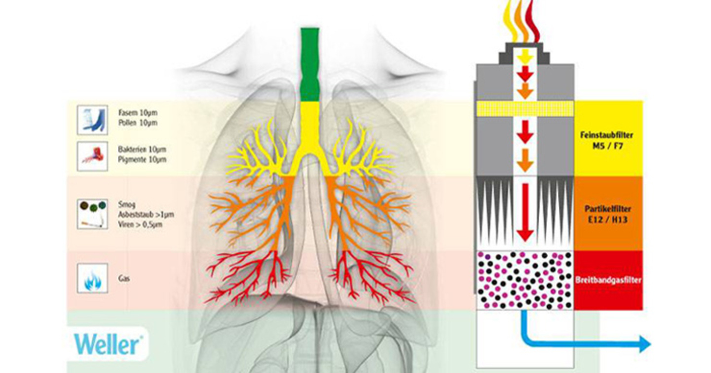 Action des particules sur les poumons