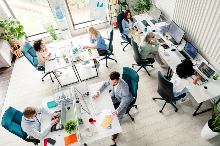 Open space avec plusieurs collaborateurs installés à leurs bureaux – un climat ambiant agréable grâce aux plantes d'intérieur, à la lumière naturelle et à un aménagement lumineux et aéré