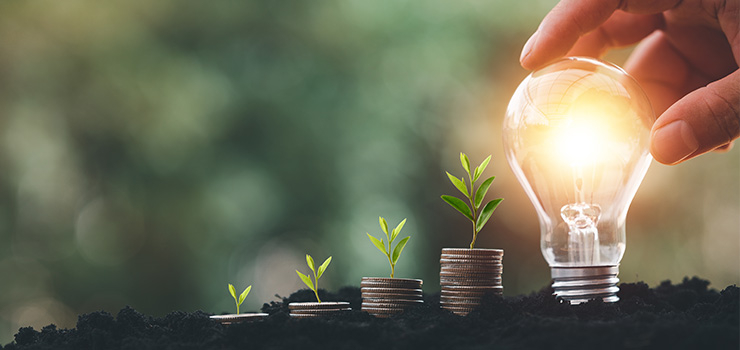 Quatre plantes poussent sur des pièces empilées, tandis qu’à côté, une ampoule s’illumine depuis le sol.