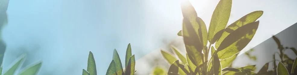 Les bonnes pratiques de Conrad pour le développement durable