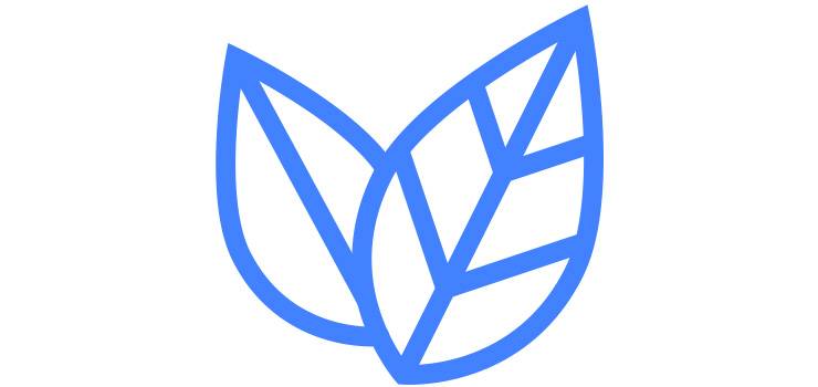 L'automne, c'est un festival de couleurs