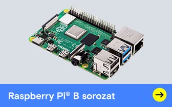 Raspberry Pi B