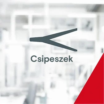 Csipesz