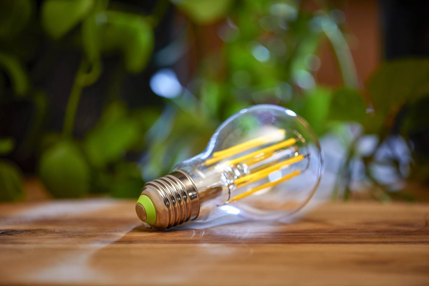 Philips Lighting