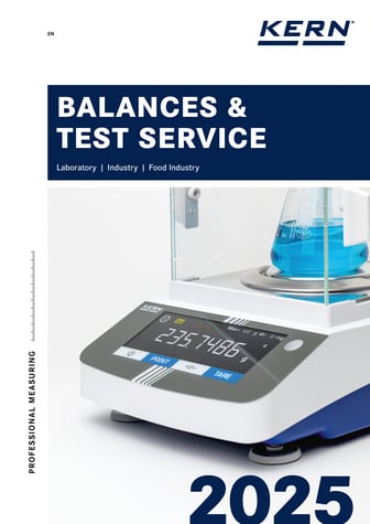 Catalog Balances & Test service 2025