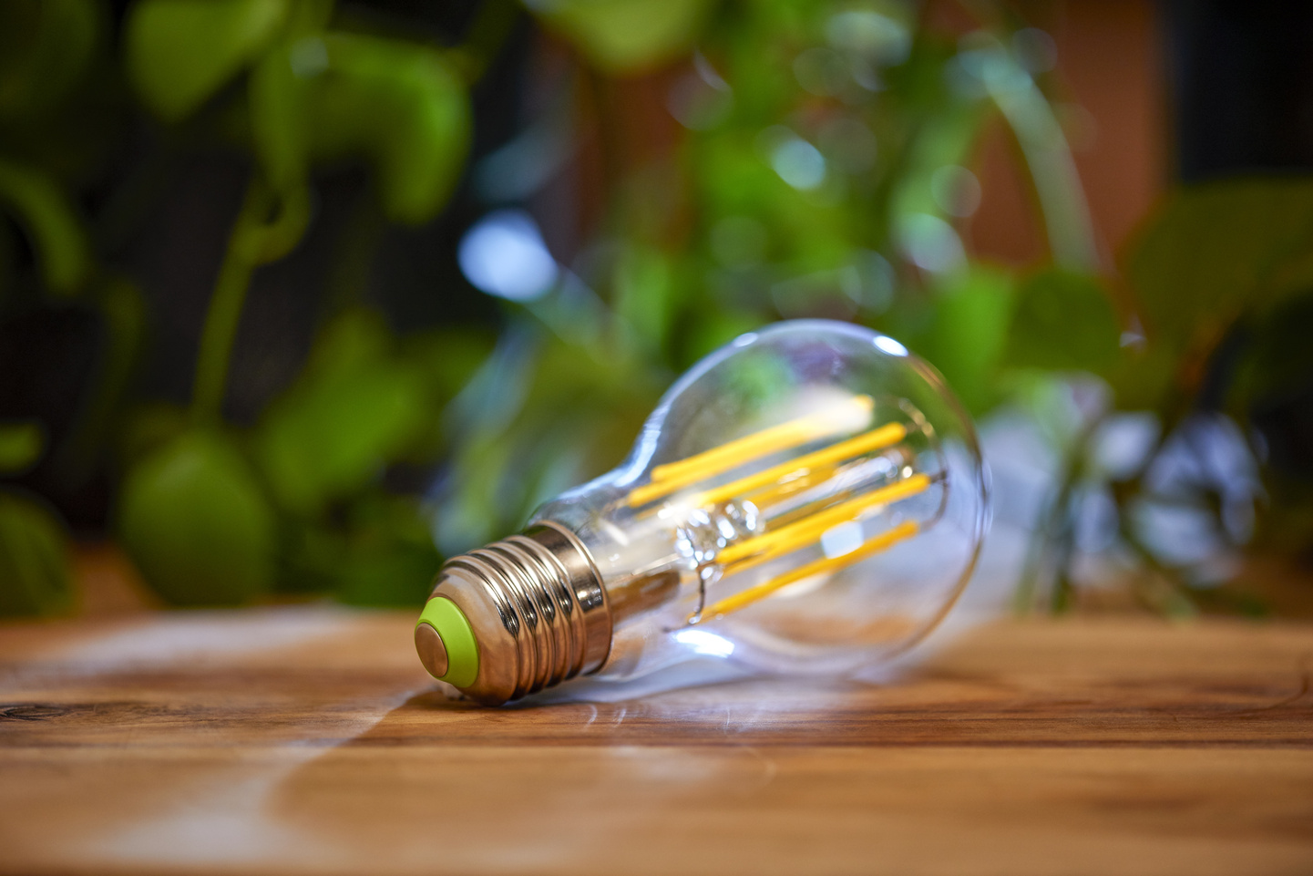 Philips Lighting