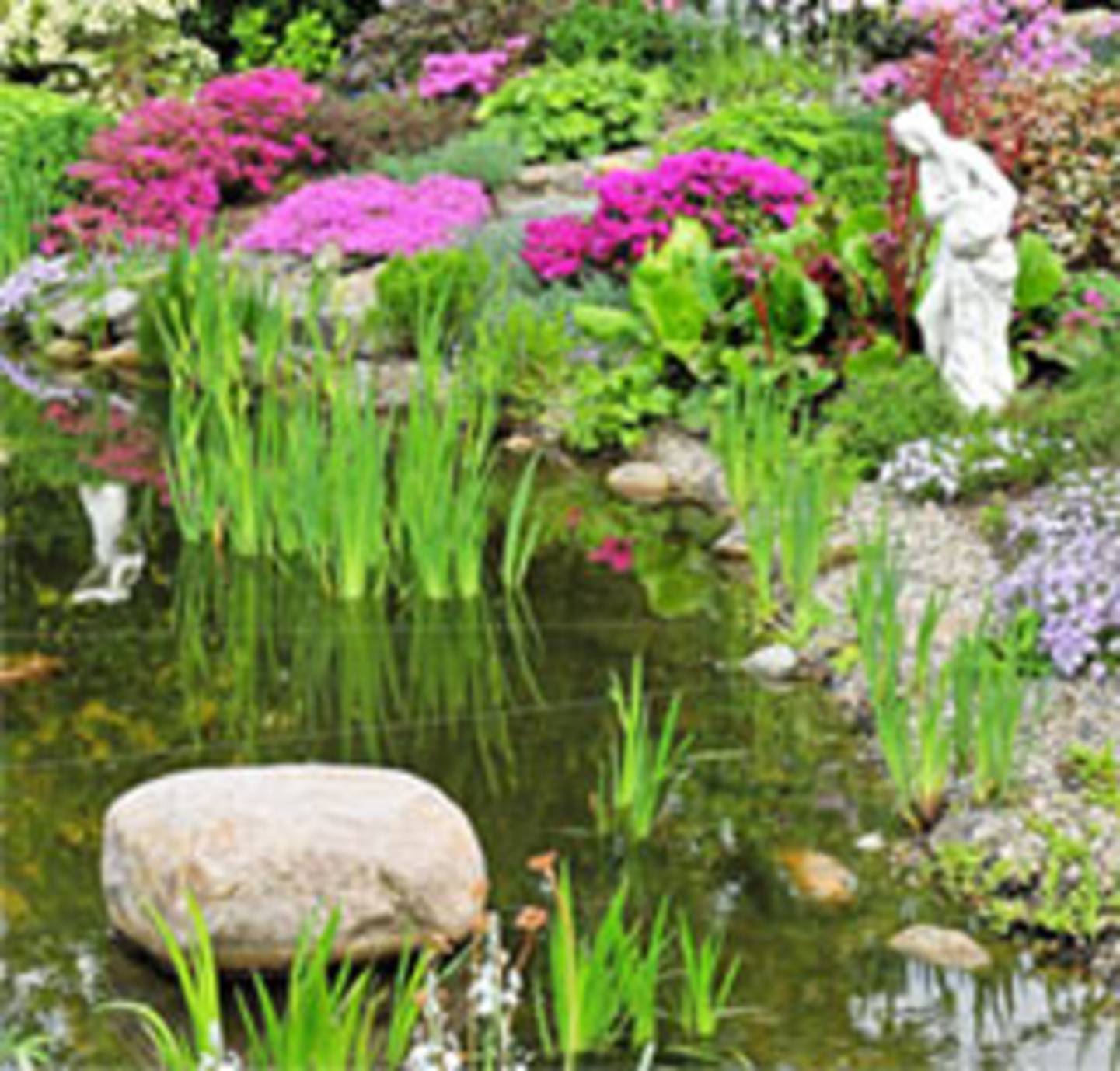 tuin zomer