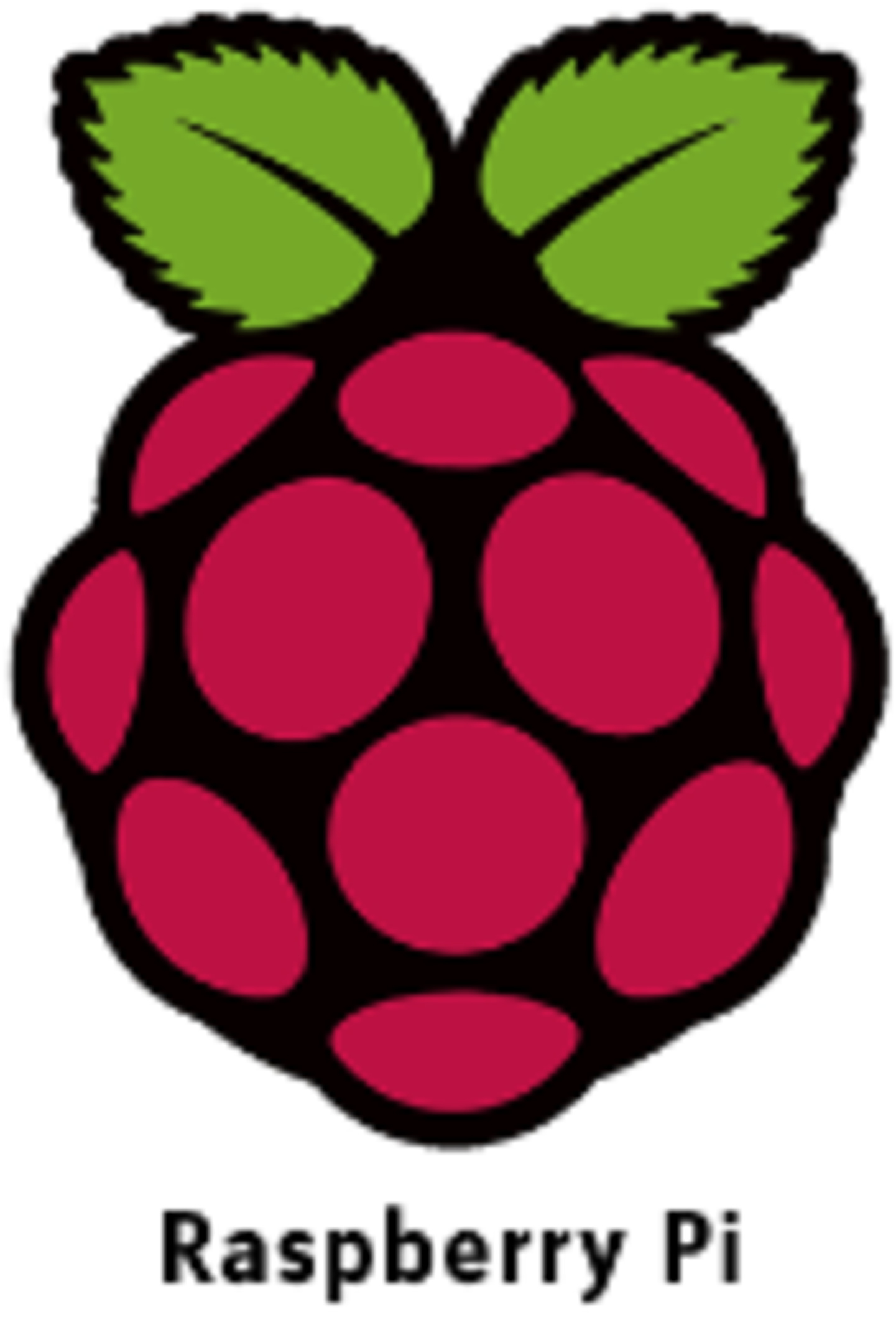 logo Raspberry Pi