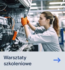 Warsztaty szkoleniowe