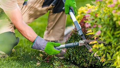 Alles wat u nodig heeft voor uw tuinprojecten