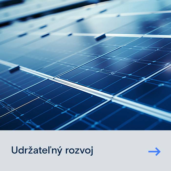 Udržateľný rozvoj