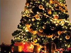 Kerstboom verlichting