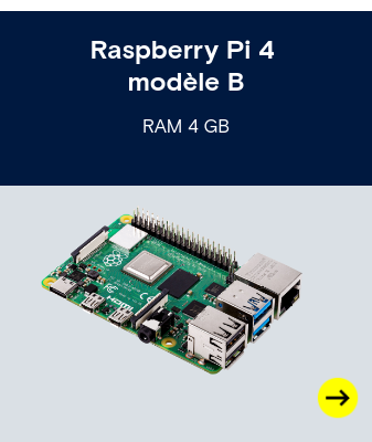 Raspberry Pi® 4 modèle B (RAM 4 GB)