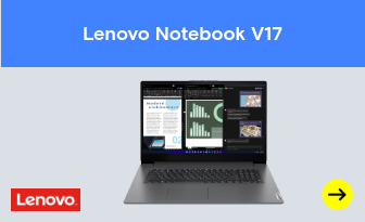 Lenovo Notebook V17 G4 IRU 43.9 cm